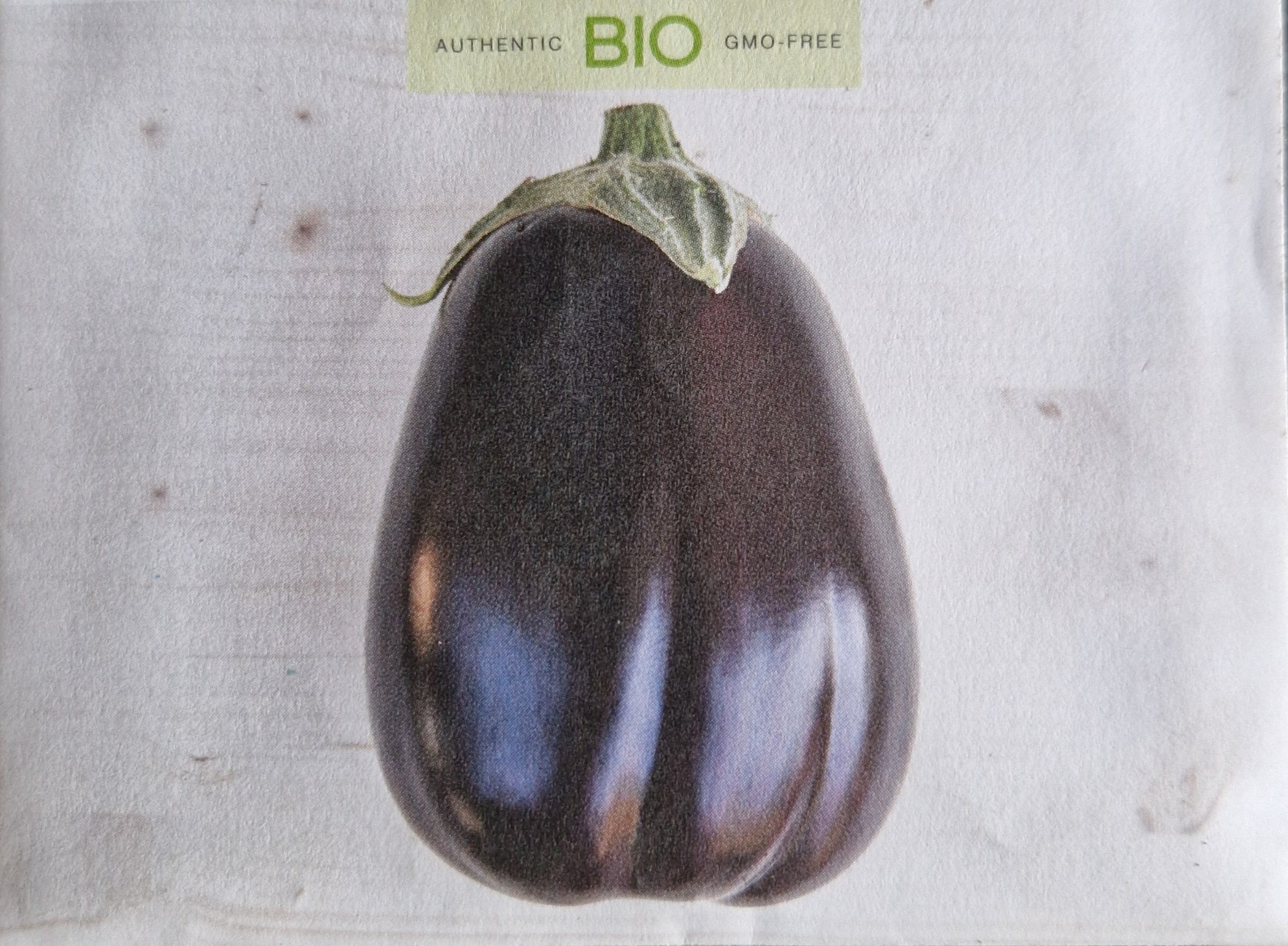 Aubergine Black Beauty