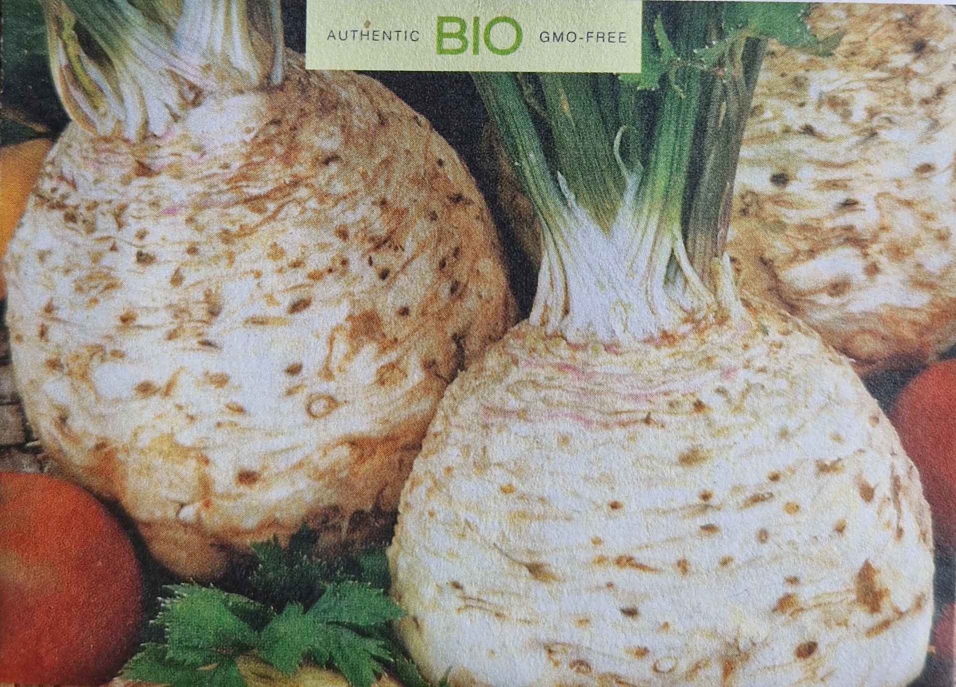 Knollensellerie Balba