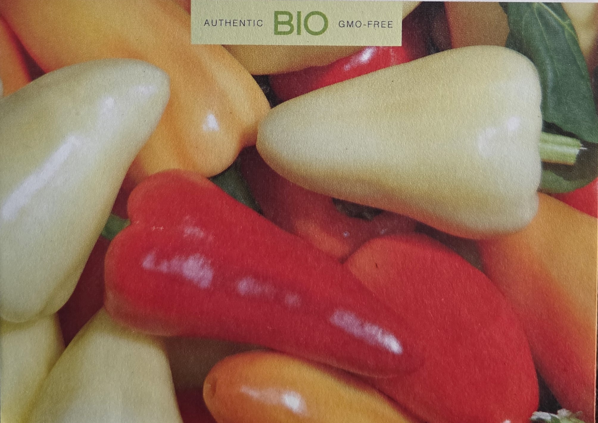 Chilli Babura (Somborcka)